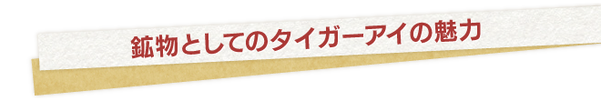 古くから世界中の人に愛されてきた石